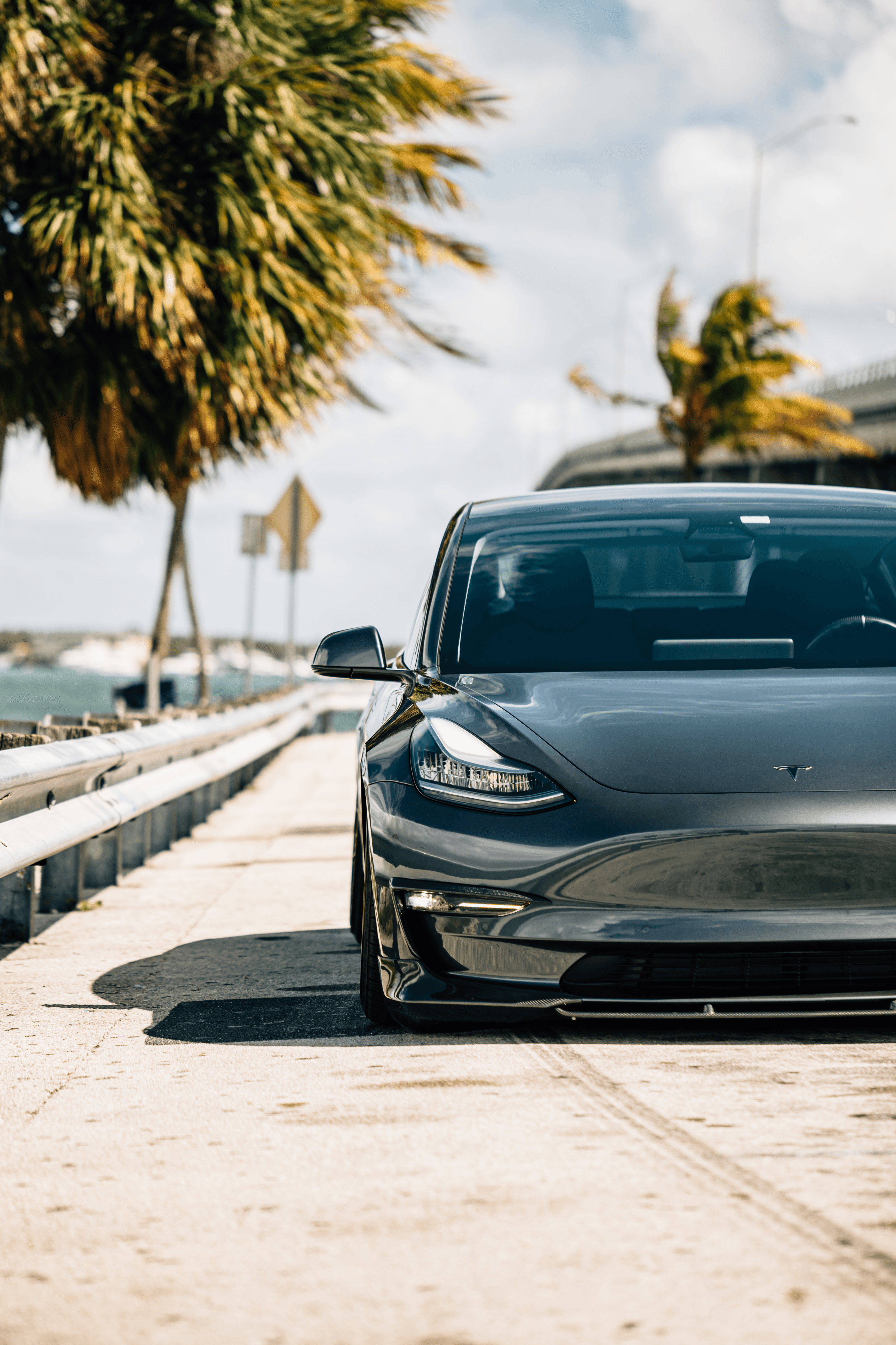 Carbon Fiber Lips "C" style for Tesla Model 3