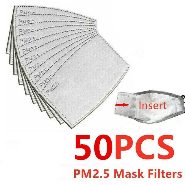 50PCS PM2.5 Activated Carbon Filter - adults