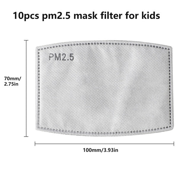 10PCS PM2.5 Activated Carbon Filter - kids